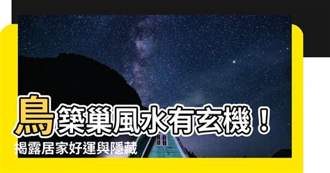 鳥來築巢 風水|鳥巢風水：居家好運密碼